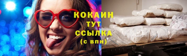 сатива Беломорск