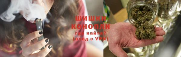 сатива Беломорск