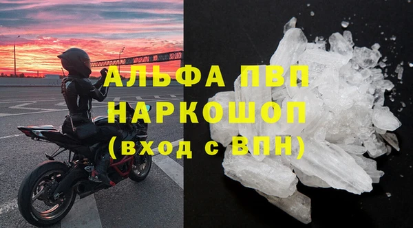 сатива Беломорск