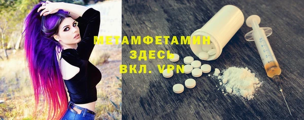 сатива Беломорск