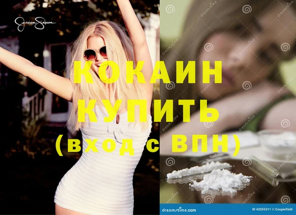сатива Беломорск