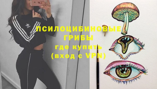 кокаин Белокуриха