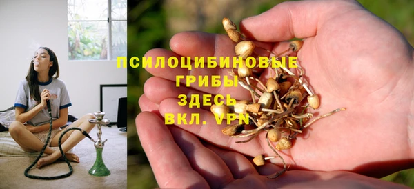 сатива Беломорск