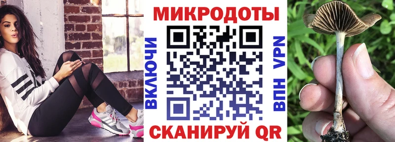 Галлюциногенные грибы мухоморы  Кириллов 